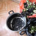 Вино из яблок в домашних условиях: простые пошаговые рецепты Крепленое вино из яблок и черноплодной рябины